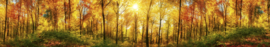 Dimex Zelfklevende Keuken Achterwand Sunny Forest KL-350-084 Natuur
