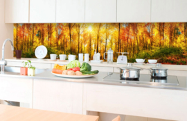 Dimex Zelfklevende Keuken Achterwand Sunny Forest KL-350-084 Natuur