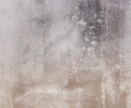 Dutch Wall Decor Panorama Fotobehang D1902610 Beton
