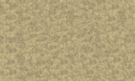 Noordwand Concrete Cire Wallpaper Fotobehang 330679 Polished Concrete