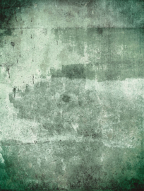 Eijffinger Wallpower Favourites Fotobehang 309042 Weathered Wall Green