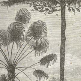 DWD Natural History Fotobehang NH250002 Jungle met Palmbomen/Maatwerk