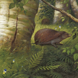 DWD Natural History/M.A Koekkoek Fotobehang NH250075 Insecteneters/Maatwerk