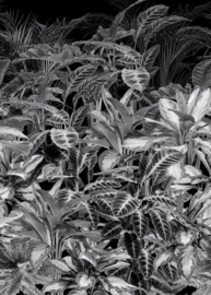 Behangexpresse Light & Dark Fotobehang INK7347 Leaves on my wall