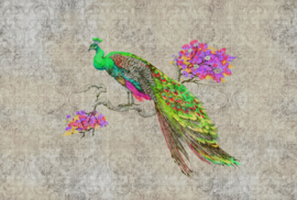 ASCreation Walls by Patel Fotobehang Peacock 1 DD114307 Vogels/Dieren