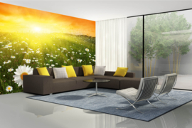 Dimex/Wall Murals 2023 Fotobehang MS-5-1331 Flower Field In Sunset/Bloemen