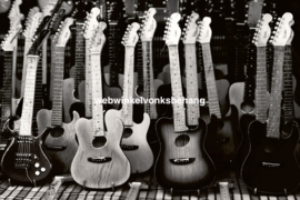 Dimex Fotobehang Guitars Collection MS-5-0303 Gitaren/Muziek