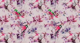 Walls by Patel Fotobehang DD110226 Songbirds 1