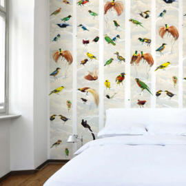 DWD Natural History Fotobehang NH250050 Paradijsvogels in Chinoiserie stijl/Maatwerk