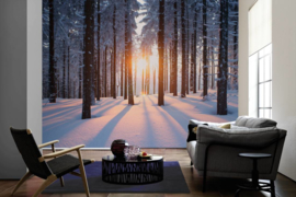 AS Creation Wallpaper XXL3  Fotobehang 470641XL Winter Forest