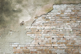 Dimex Fotobehang Grunge Wall MS-5-0168 Beton/Steen
