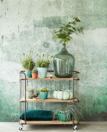 Eijffinger Wallpower Favourites Fotobehang 309042 Weathered Wall Green