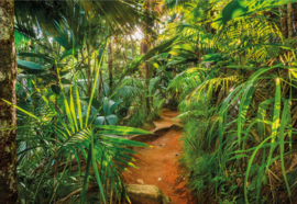 Komar Home Imagine Edition 4 Fotobehang 8-989 Jungle Trail/Botanisch