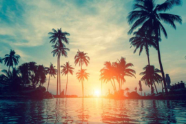 AS Creation Designwalls 2 Canvas Schilderij DD123912 Sunset & Palms/Tropical/Palm/Zon