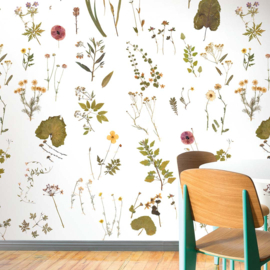 DWD Natural History Fotobehang NH250035 Herbarium / Maatwerk