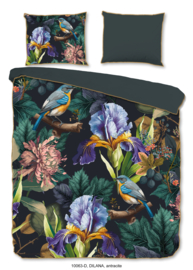 Muller Textiles Dekbedovertrek 10063 Dilana Antracite/Bloemen/Vogels/Lits-Jumeaux