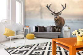 Dimex/Wall Murals 2023 Fotobehang MS-5-0615 Red Deer Stag/Hert/Dieren