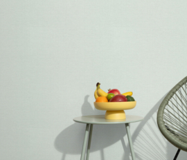 DWD Fashion for Walls 5 Behang 10541-18 Uni