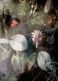 Noordwand Komar INK Fotobehang INX4-044 Night Flowers/Bloemen/Landelijk/Romantisch