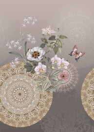 Behangexpresse Circle of Life/Select.D Fotobehang TD4186 Molly/Mandala