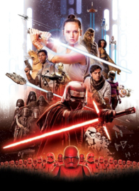 Noordwand/Komar Edition4 Fotobehang 4-4113 Star Wars Movie Poster Rey