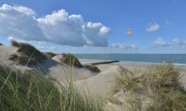 We Live by Light/Holland Burgh Haamstede duinen Fotobehang 5483