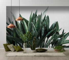 ASCreation Walls by Patel Fotobehang Urban Jungle 2 DD114217 Botanisch