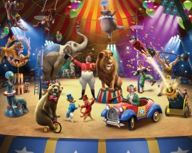 Dutch Wallcoverings Fotobehang. 42834 Circus