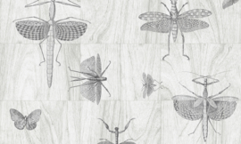 Arte Ligna Behang 42001 Wings/Insecten/Exclusieve Wandbekleding