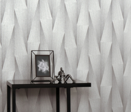 DWD Fashion for Walls 5 Behang 10526-31 Modern/Grafisch/3D