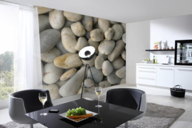 AS Creation AP Digital4 Fotobehang DD108801 Pebble Stone Grey/Stenen