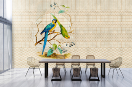 AS Creation Walls By Patel 3 Fotobehang DD122436 Voliere 3/Vogels