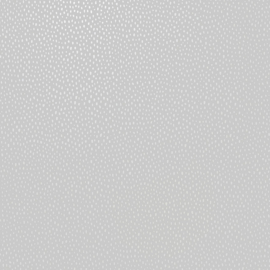 Dutch wallcoverings Patagonia Behang 36141 Pinto Grey/Dots