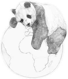 Behangexpresse Platinum Shapes Behang PLC049 Panda op Aardbol