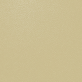 Dutch wallcoverings Patagonia Behang 36140 Pinto Ochre/Dots/Natuurlijk