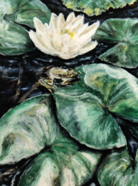 Dutch Wall Decor Zooom B1 Fotobehang DY9013-01-01 Seerose/Waterlelie