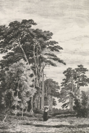 Esta Home Blush Fotobehang 158886 Pine trees engraving/Natuur
