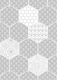 Behangexpresse Light & Dark Fotobehang INK7354 Patterns 01/Hexagon