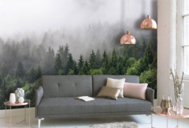 AS Creation Designwalls Fotobehang DD118602 Foggy Fir Trees/Bomen