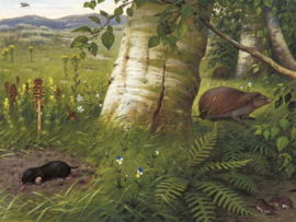 DWD Natural History/M.A Koekkoek Fotobehang NH250075 Insecteneters/Maatwerk