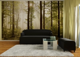 Dutch wallcoverings Fotobehang. FTS 0181 Bomen/Bos