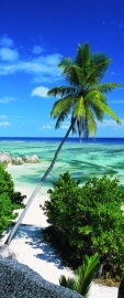 Opruiming/Sale Fotobehang 91096  Dutch Wallcoverings/Palmboom/Beach