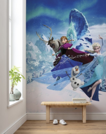 Komar Disney Edition4 Fotobehang DX4-014 Frozen Elsa'a Magic