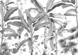 Noordwand Komar INK Fotobehang INX8-082 Croissances Monochrome/Tropical/Bomen