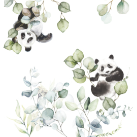 Rasch Kids World Fotobehang 364989 Panda/Dieren