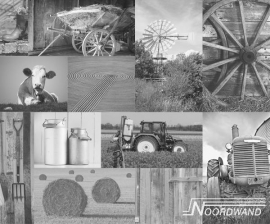 Noordwand Farm Live Fotobehang. 3750002 Nostalgisch/Natuur