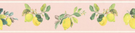 Rasch Petite Fleur 5 Behangrand 288567 Citrus planten/Citroen