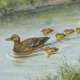 DWD Natural History/M.A Koekkoek Fotobehang NH250071 In de weide/Maatwerk