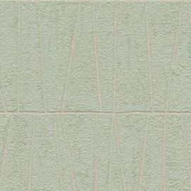 ASCreation Jade Behang 39506-1 / 395061 Modern/Grafisch