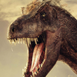 DWD Natural History Fotobehang NH250028 Tyrannosaurus rex/Dinosaurus/Maatwerk